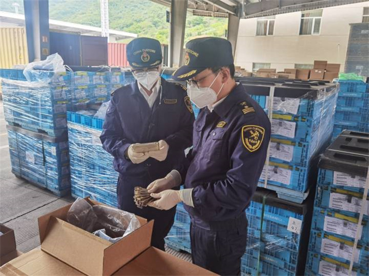 Mempromosikan perdagangan luar negeri untuk memastikan stabilitas dan meningkatkan kualitas Bea Cukai Ningbo mengeluarkan 20 tindakan 